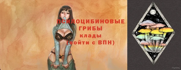 сатива Белоозёрский