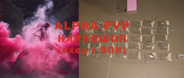 сатива Белоозёрский