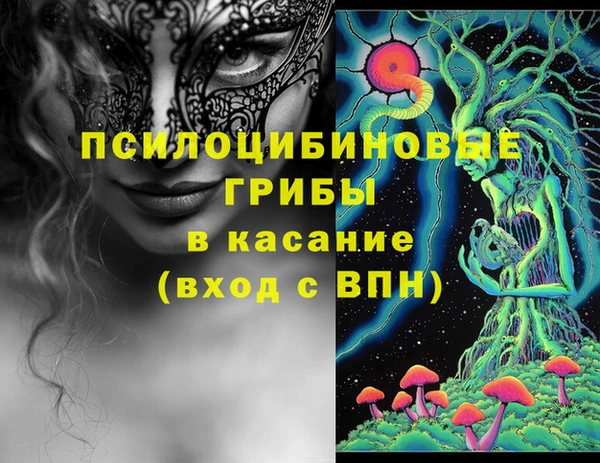 2c-b Беломорск
